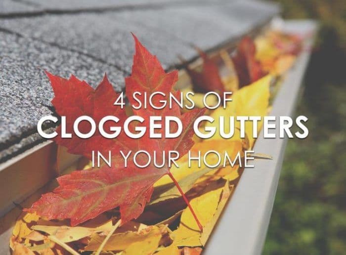 Clogged Gutters